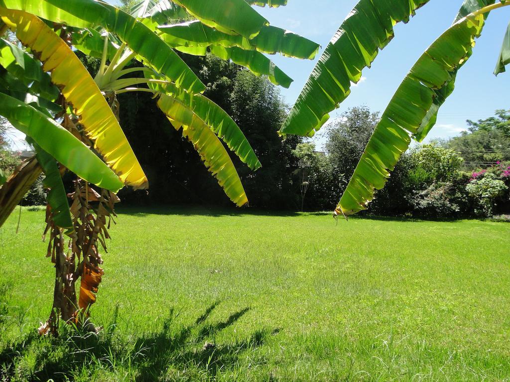 El Molino Hotel Boutique Río Verde Εξωτερικό φωτογραφία