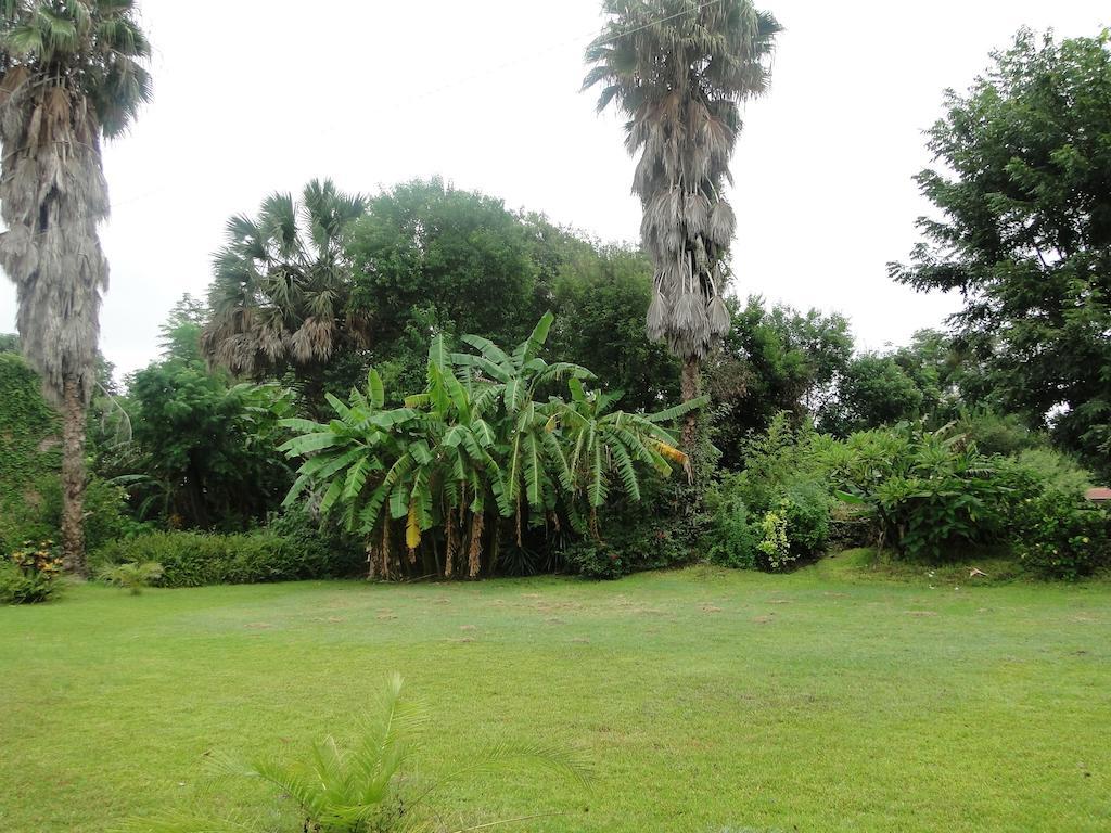 El Molino Hotel Boutique Río Verde Εξωτερικό φωτογραφία