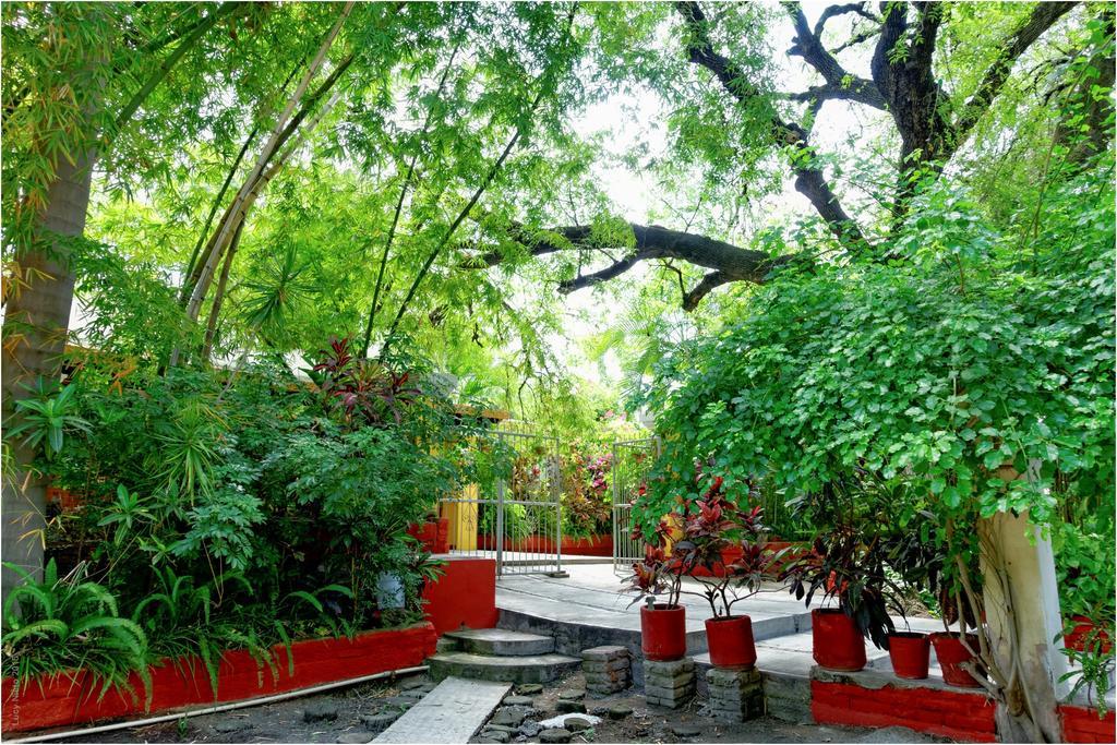 El Molino Hotel Boutique Río Verde Εξωτερικό φωτογραφία